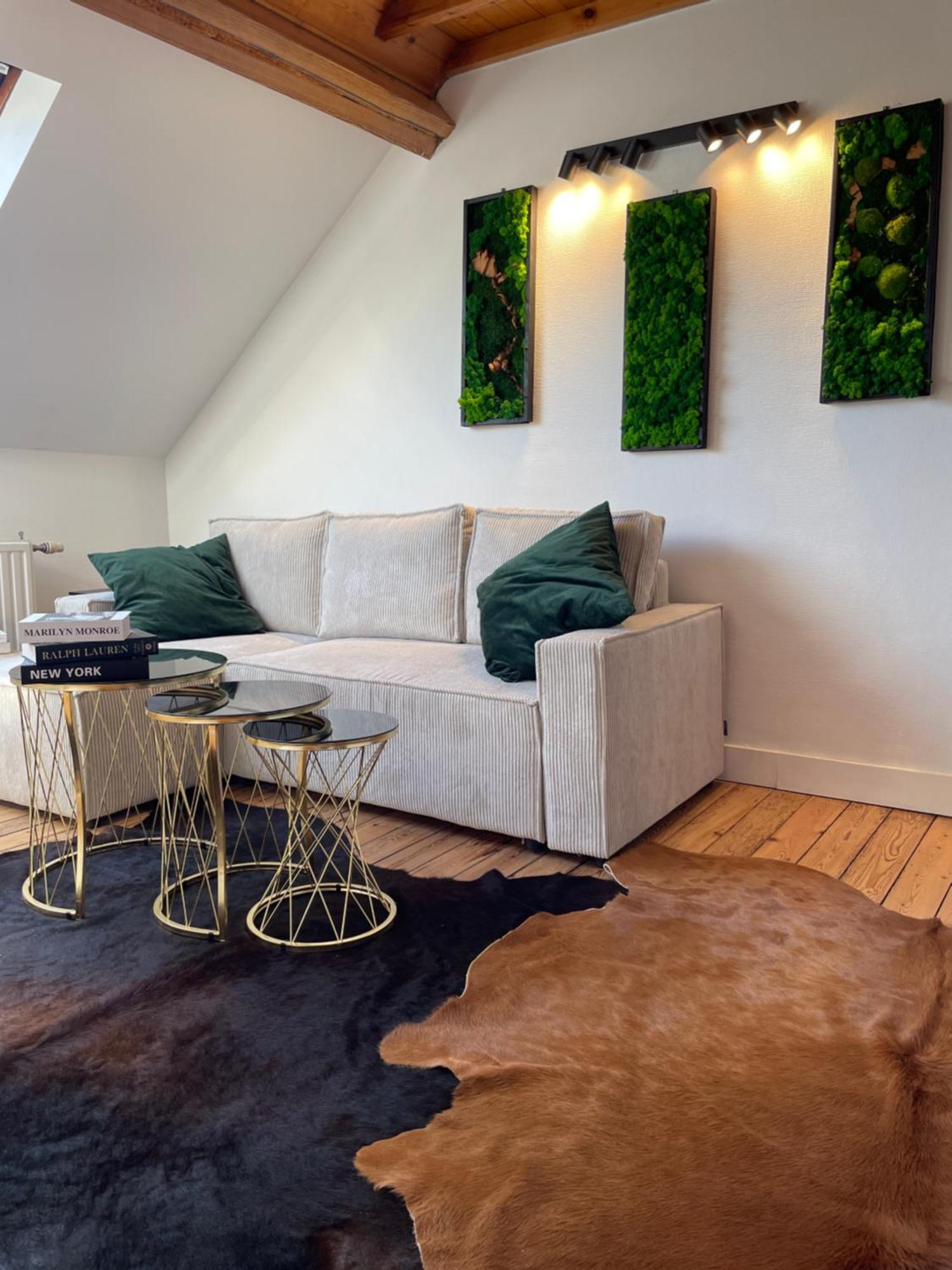 Attic European Quarter Apartment Brussels Luaran gambar