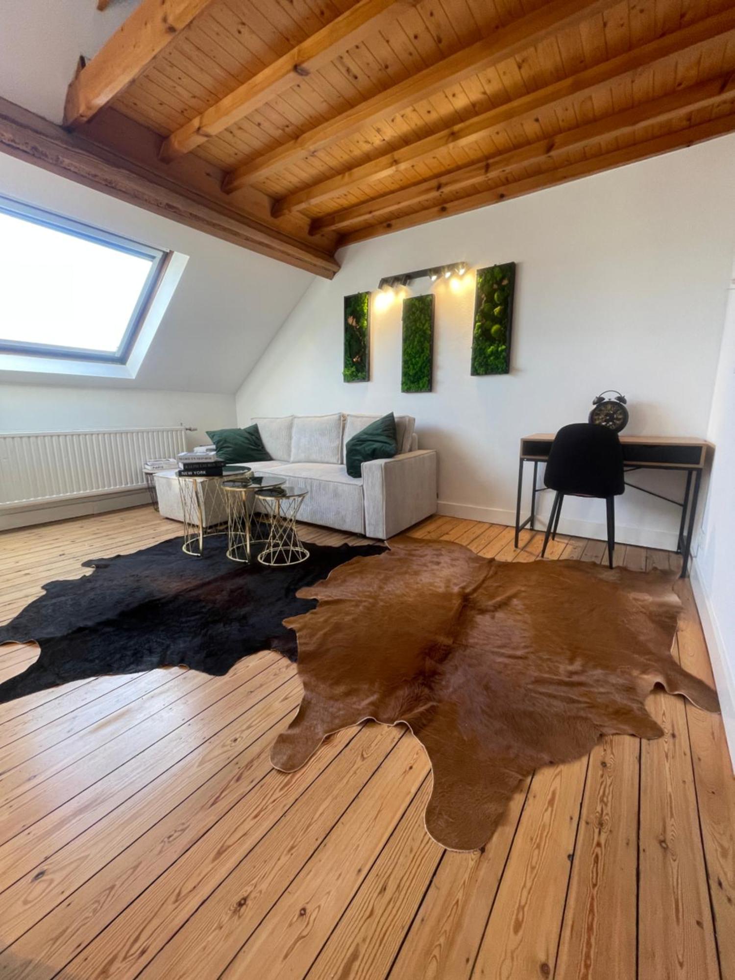 Attic European Quarter Apartment Brussels Luaran gambar