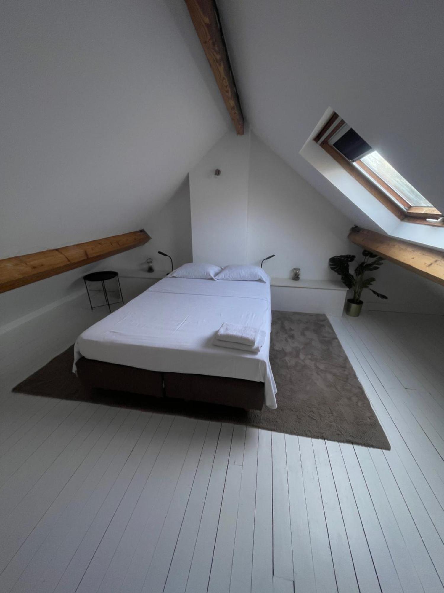 Attic European Quarter Apartment Brussels Luaran gambar