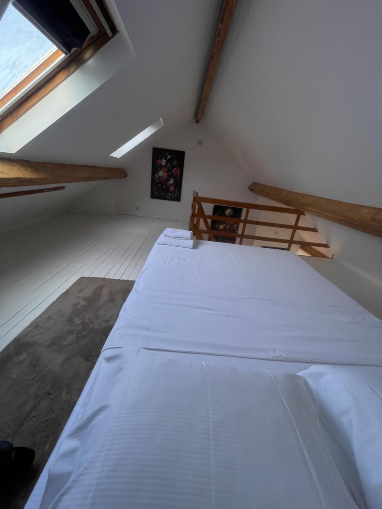 Attic European Quarter Apartment Brussels Luaran gambar