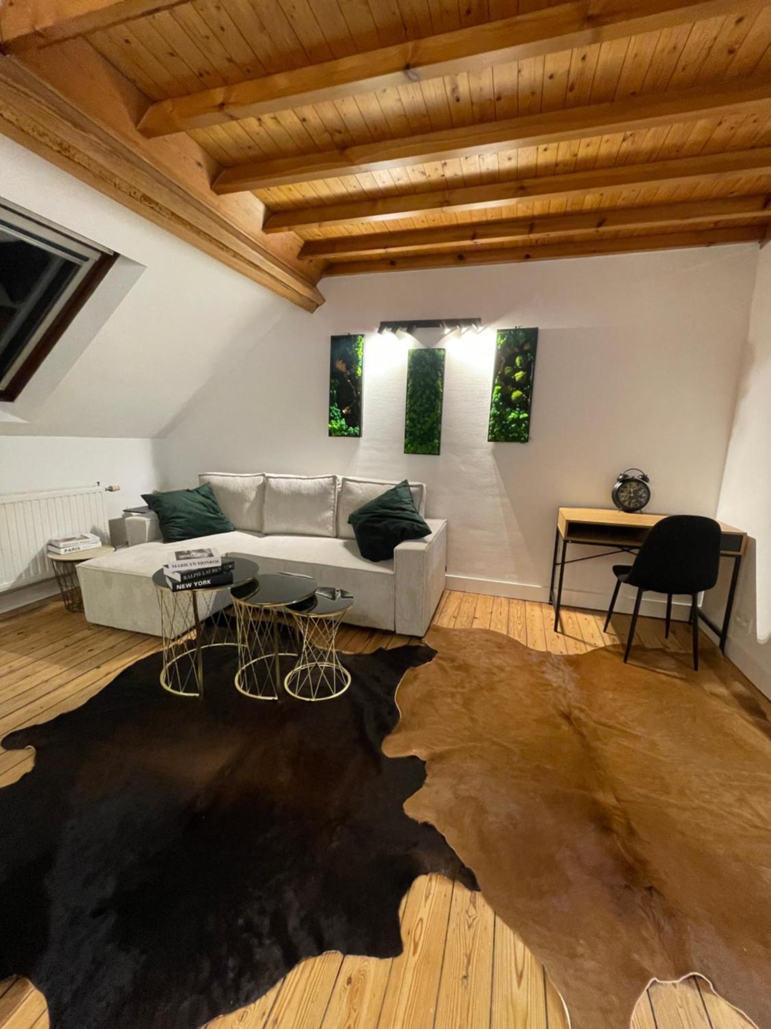 Attic European Quarter Apartment Brussels Luaran gambar