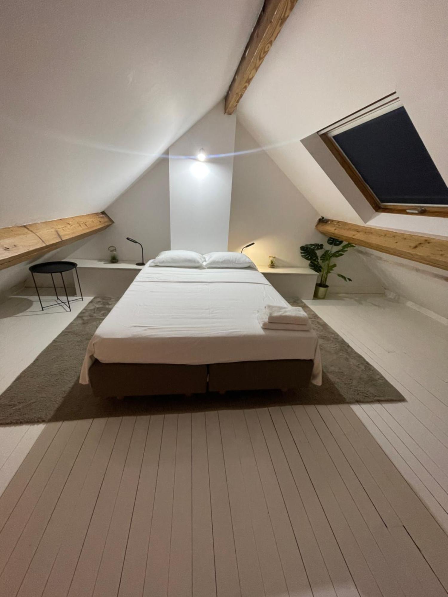 Attic European Quarter Apartment Brussels Luaran gambar