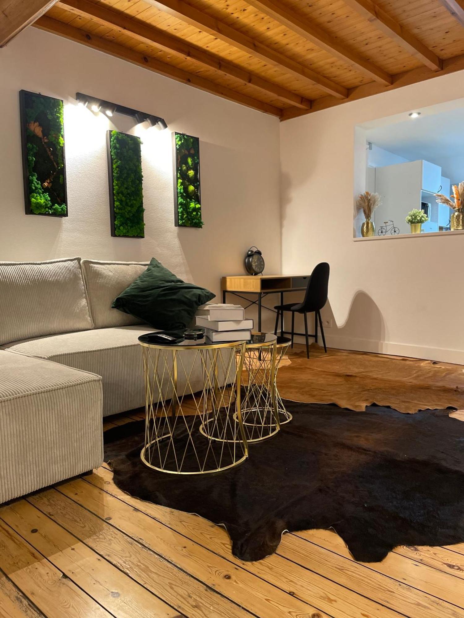 Attic European Quarter Apartment Brussels Luaran gambar